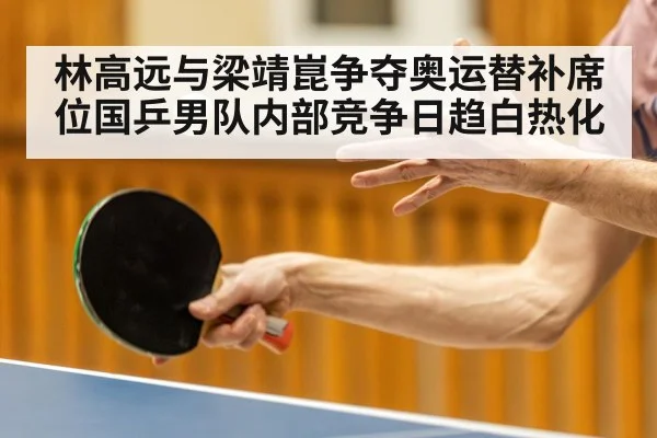 林高远与梁靖崑争夺奥运替补席位国乒男队内部竞争日趋白热化