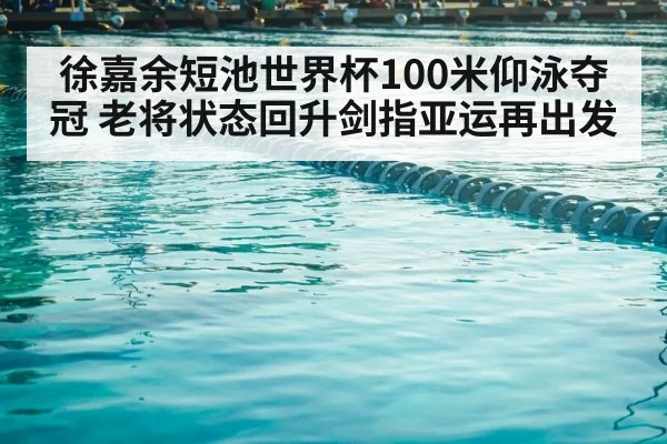 swimming pool lanes